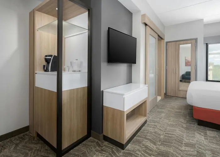 Springhill Suites By Marriott Athens Downtown/University Area
